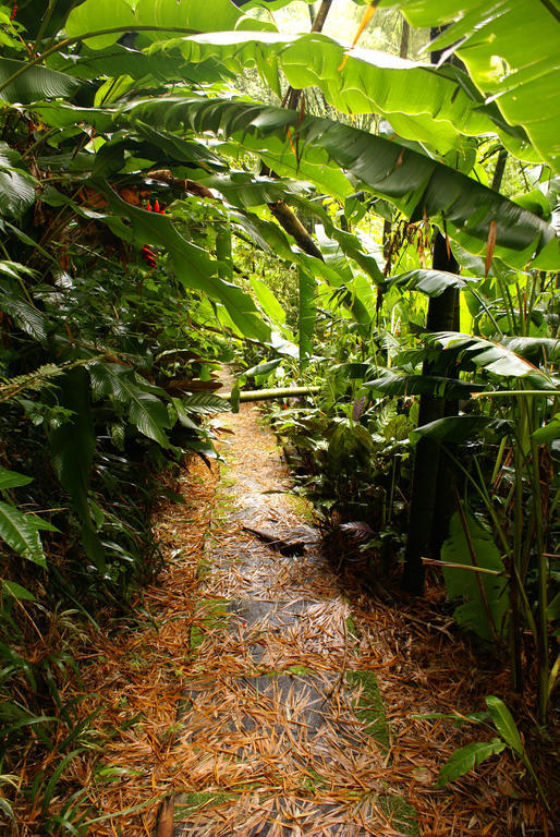 Hotel Campestre La Floresta Armenia  Exterior photo